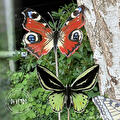 Glasfusing vlinders tussen de planten